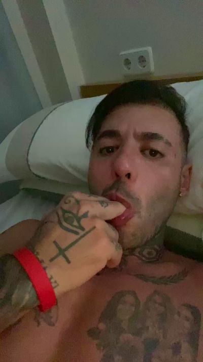 Andreazorra Live Image