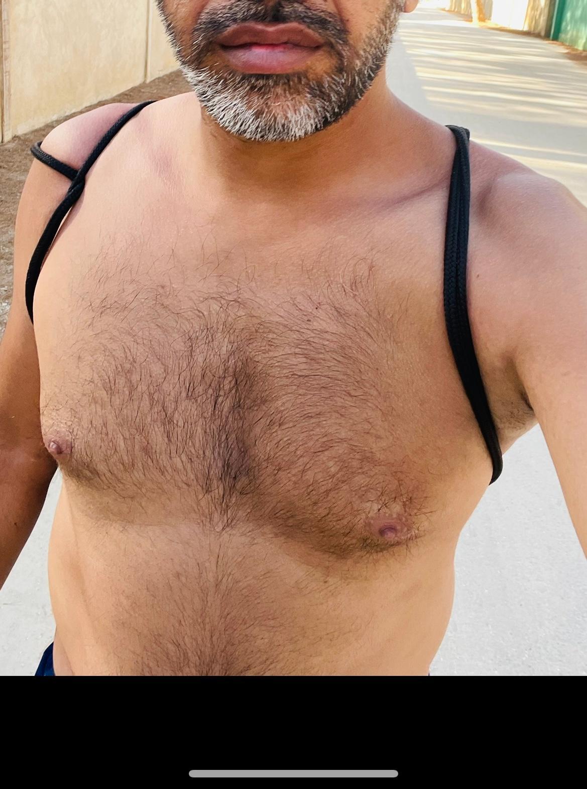 Beargaytr Live Image