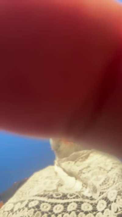 Bitedurr