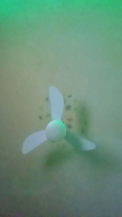 Borgesm Live Image