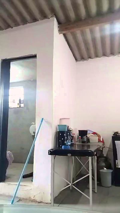 Branquelo71 Live Image