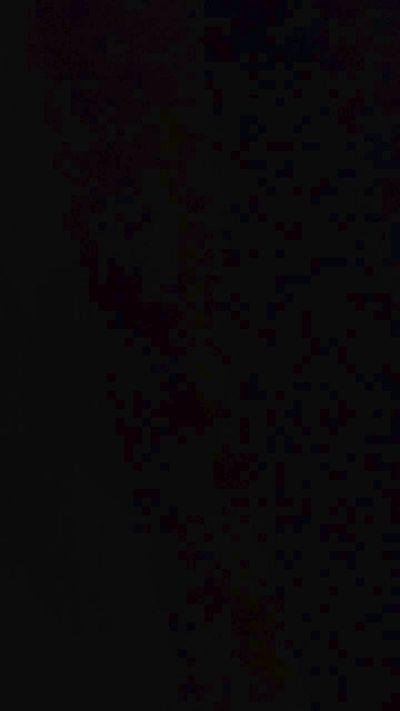 Cammamon55 Live Image