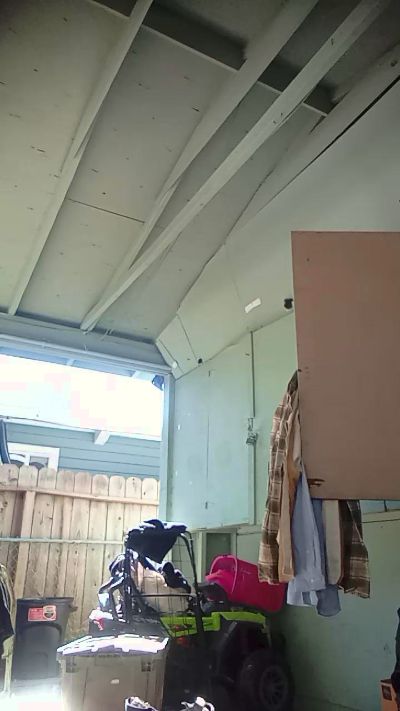 CuriousDD69 Live Image