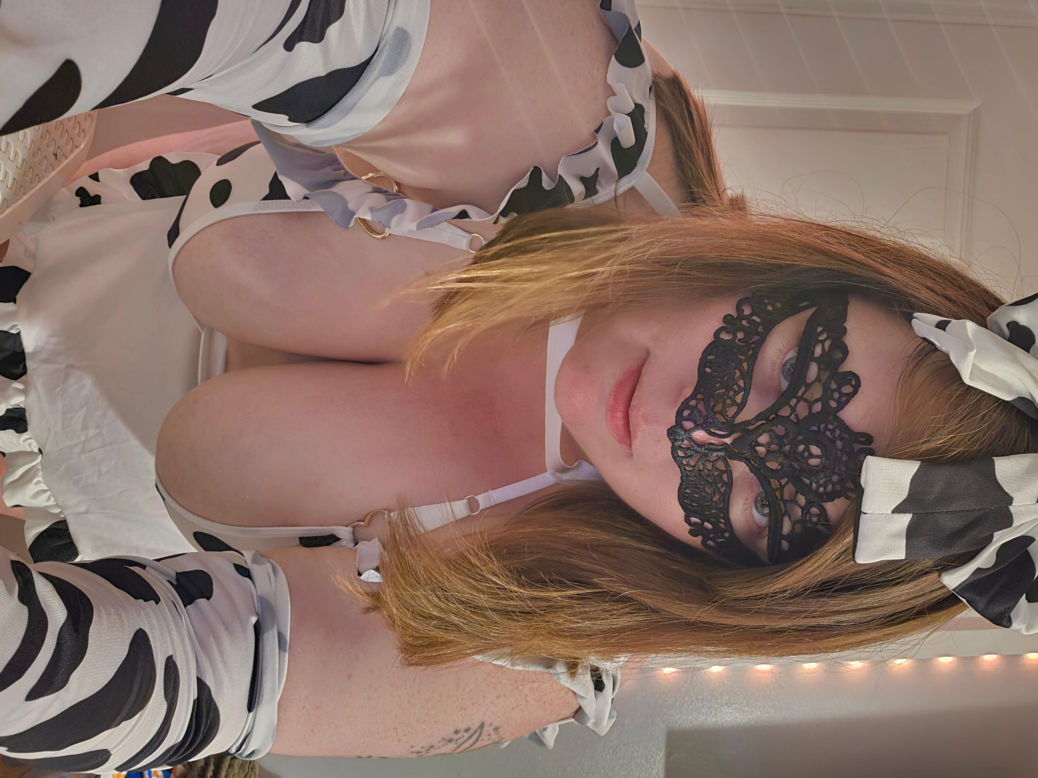 CurvyCate90 Live Image