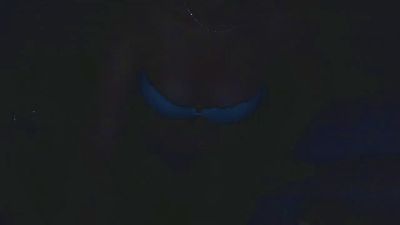 Elodie699 Live Image