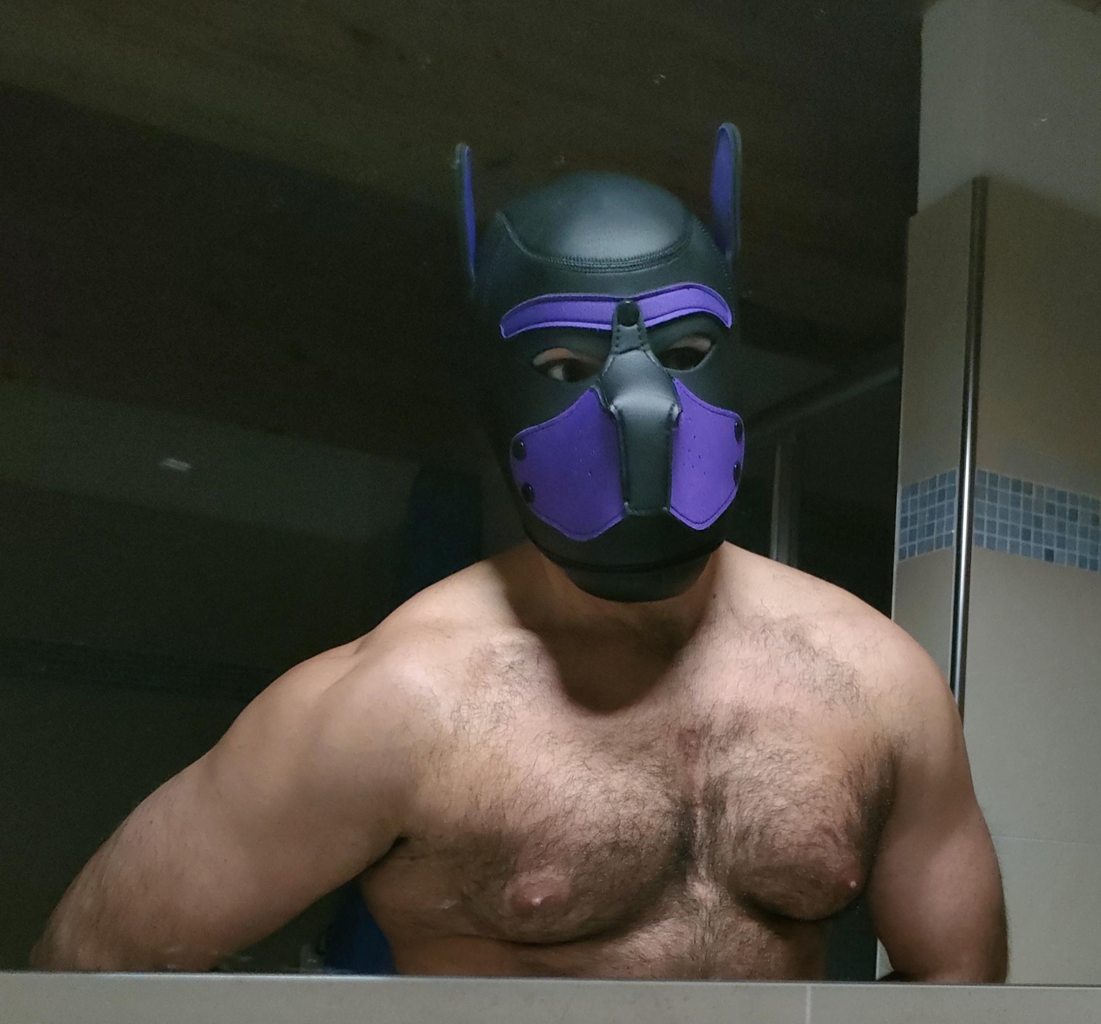 Hairypuppy82