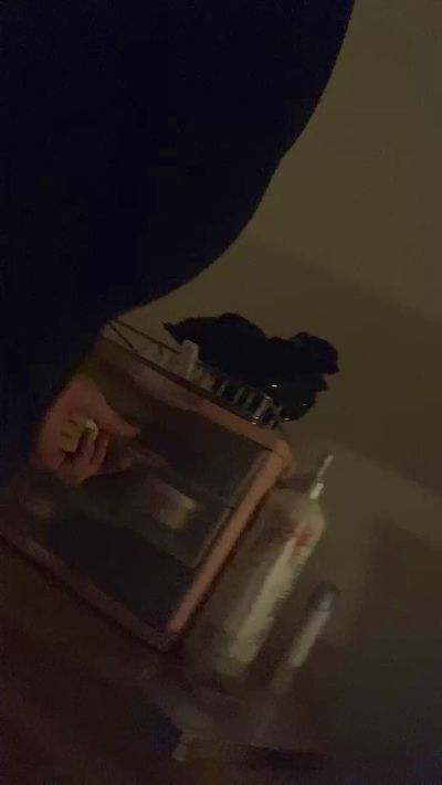 KINGWEDO88 Live Image