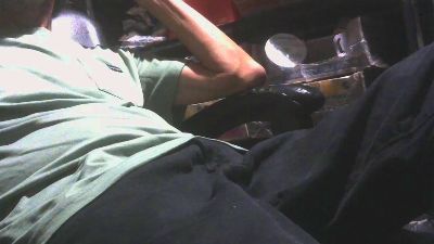 PICA_DAN Live Image