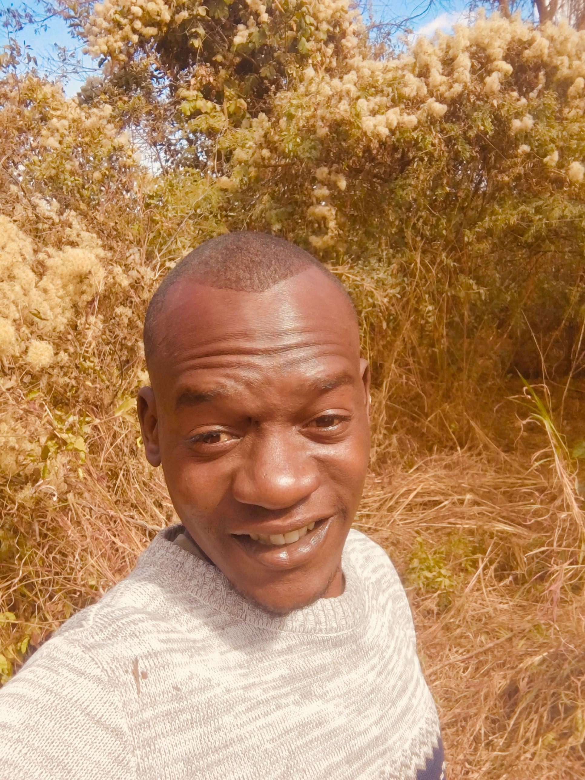 Rastactive1