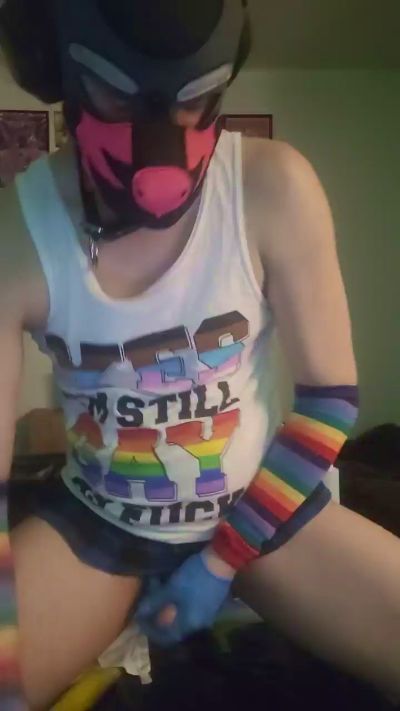 Slutboikai Live Image