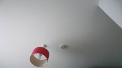 erleichtbi Live Image
