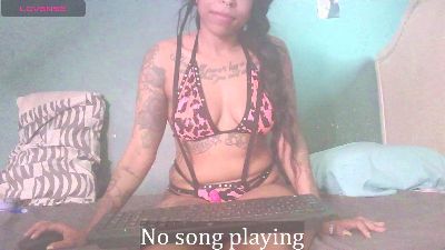 stella_clitella live from United States